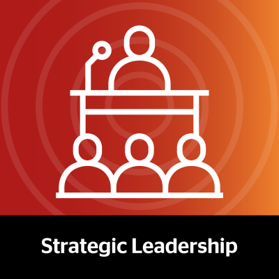 Elevate Your Revenue Strategy