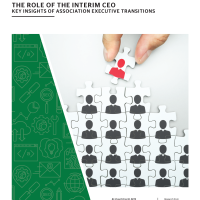 The Role of the Interim CEO