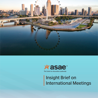 Insight Brief on International Meetings (PDF)