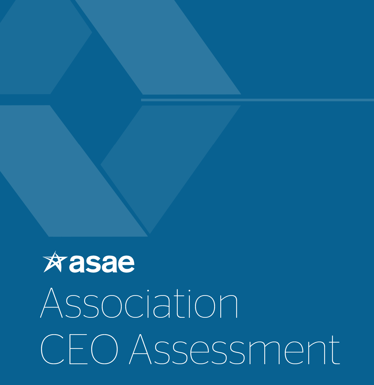 Association CEO Assessment