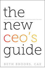 The New CEO's Guide (ebook)
