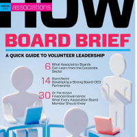Cover that shows figures working and notes articles on what associations can learn from the corporate sector, developing a strong board-CEO partnership, and financial governance.